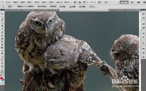 PS中缩放界面大小的几种方法