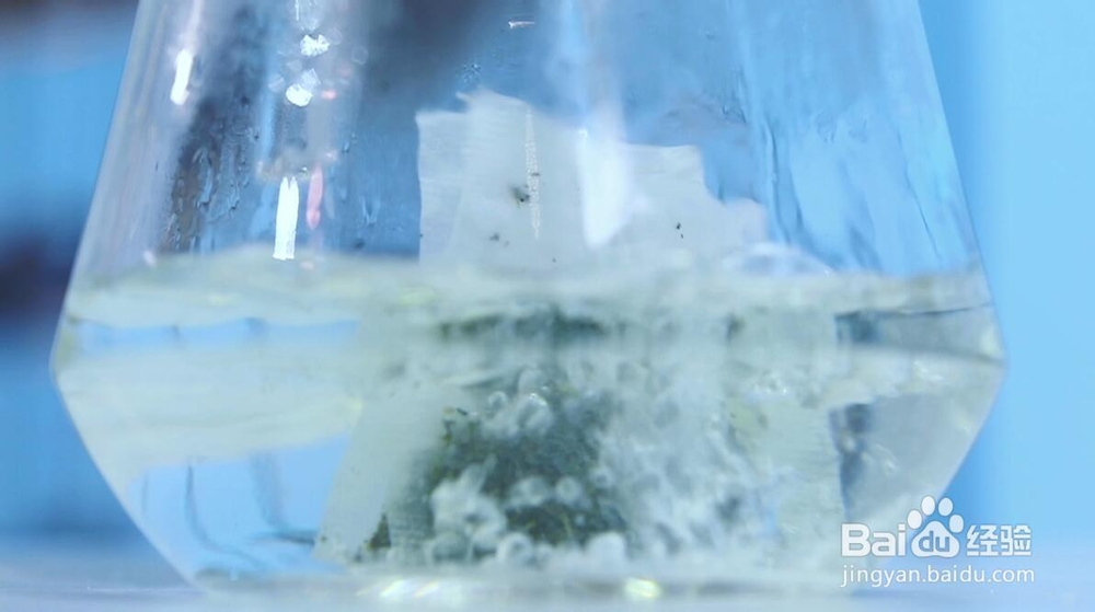 酥到掉渣的养乐多姜汁桂花蜜酿