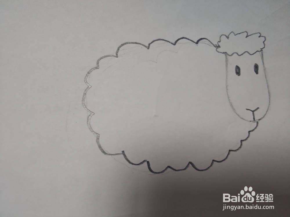 小羊的简笔画怎么画