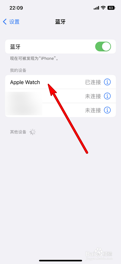 iphone手表有什么功能