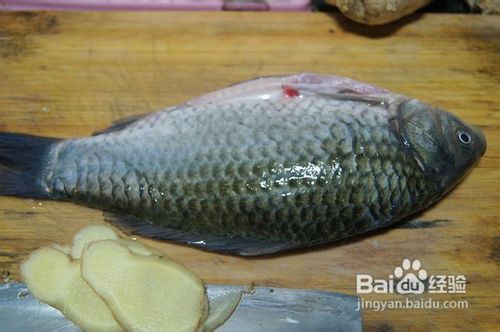 滋补鲫鱼汤的做法