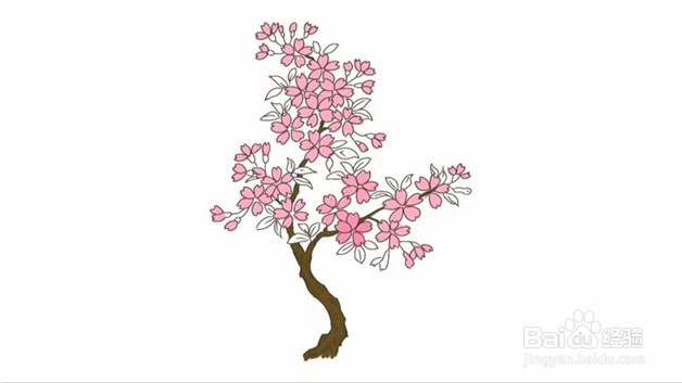 武大樱花盛开简笔画