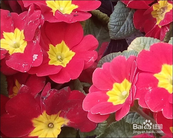 艾诺 AX10 PRO 10.1寸安卓 4G网络平板测评试用