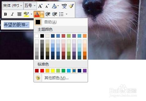 怎样在word里的图片上面添加文字