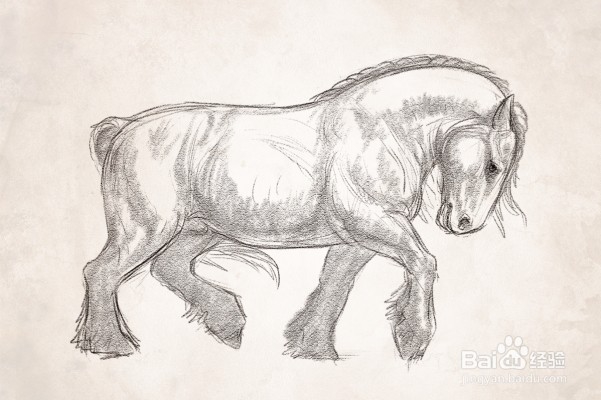 如何在美术高考培训班提高你的绘画技巧?