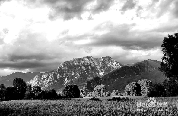 怎样使用2345看图王把彩色图片就能变成黑白图片