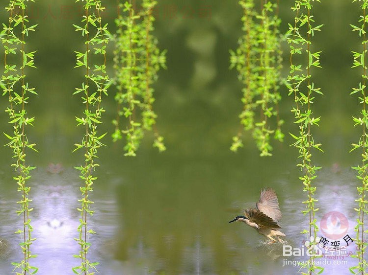 在网上银行怎样修改工行预留手机号码