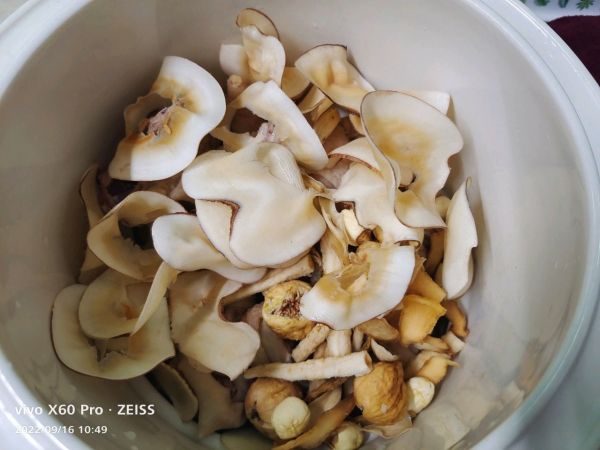 老母鸡炖海底椰