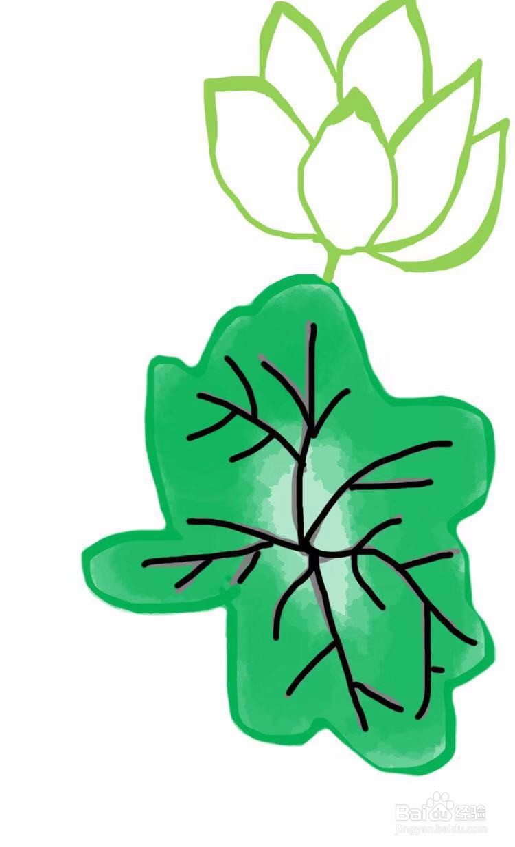 简笔画教程之荷花