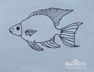 鱼的简笔画怎么画？
