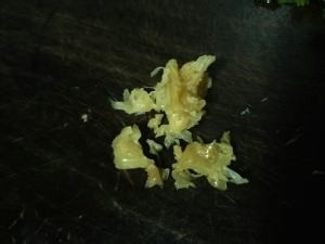 腐竹嫩肉豆腐煲