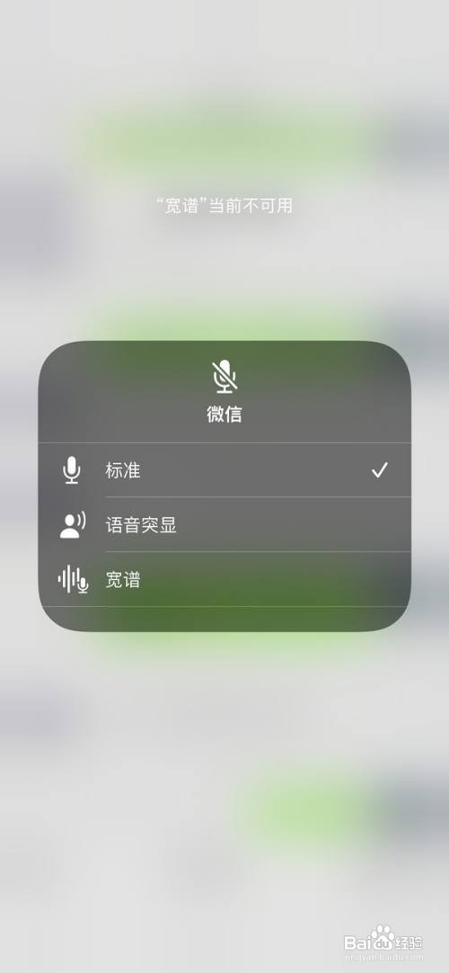 苹果13麦克风模式在哪调整