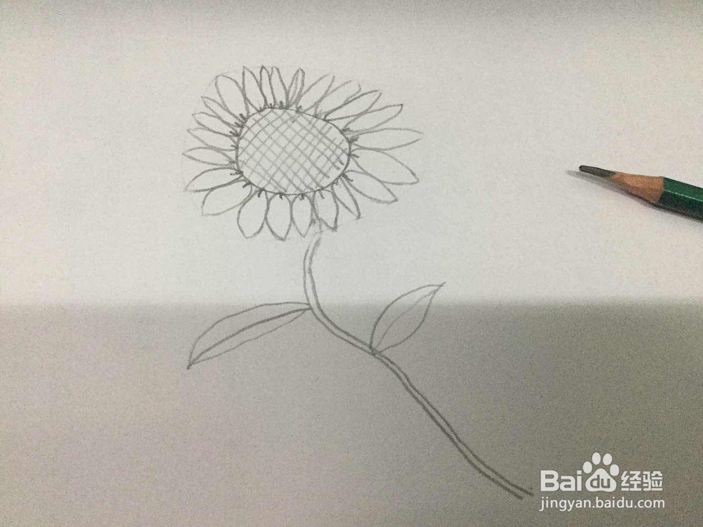 如何快速的画出向日葵