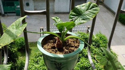 如何帮助父母安排退休生活