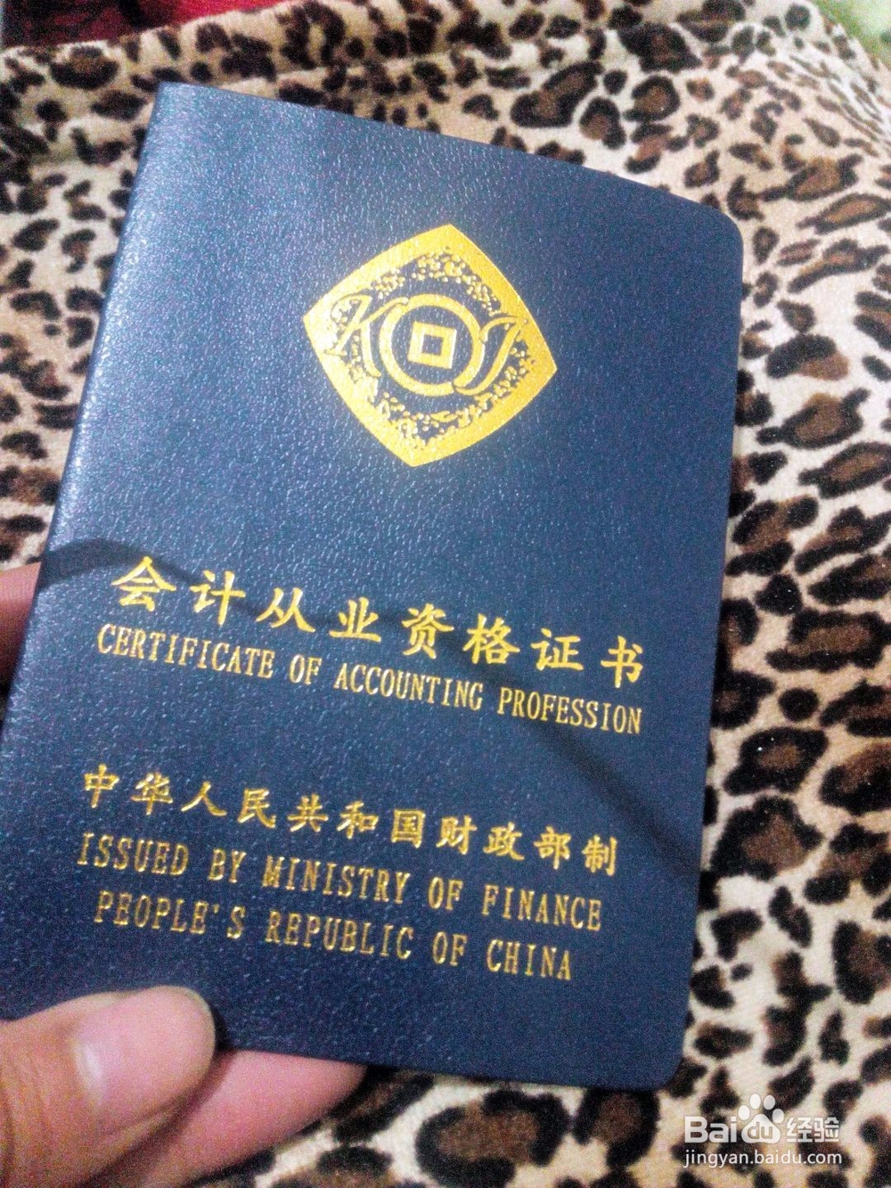 会计专业的学习指导和就业方向