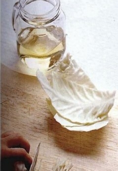 自制卷心菜化妆水/最常见的食材制作