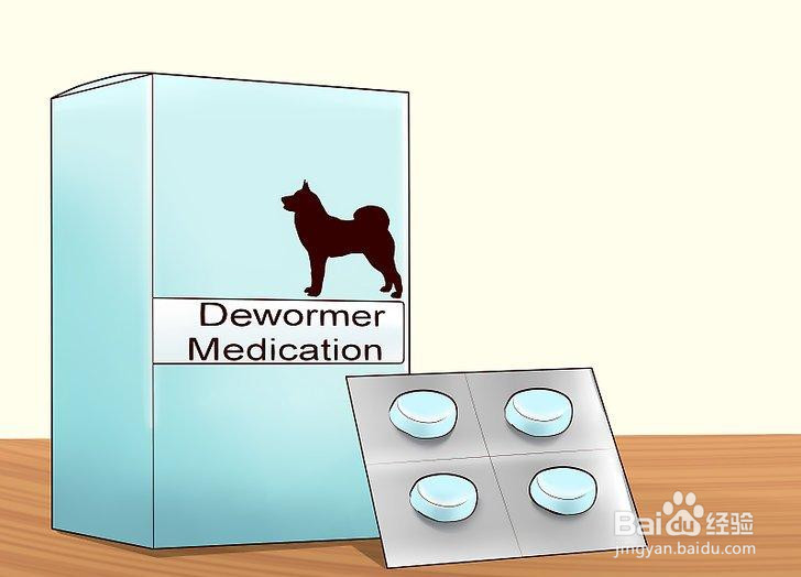 如何增加狗狗的体重