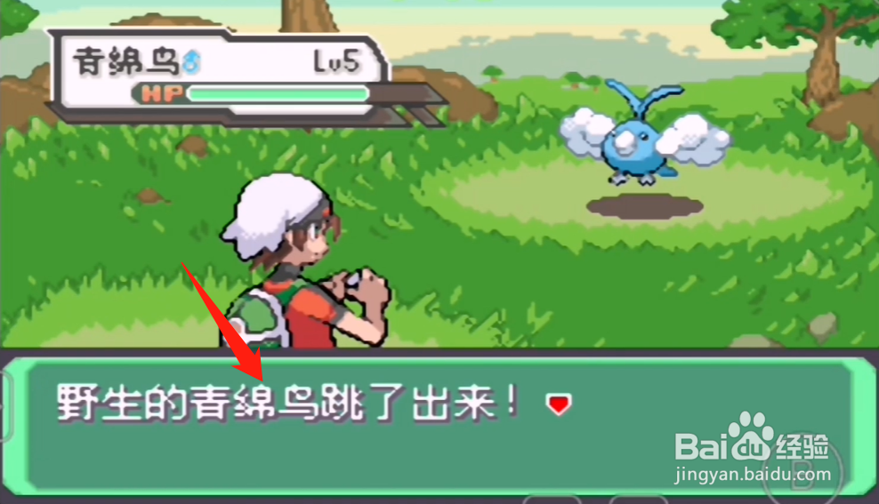 究极绿宝石V青绵鸟在哪捕捉