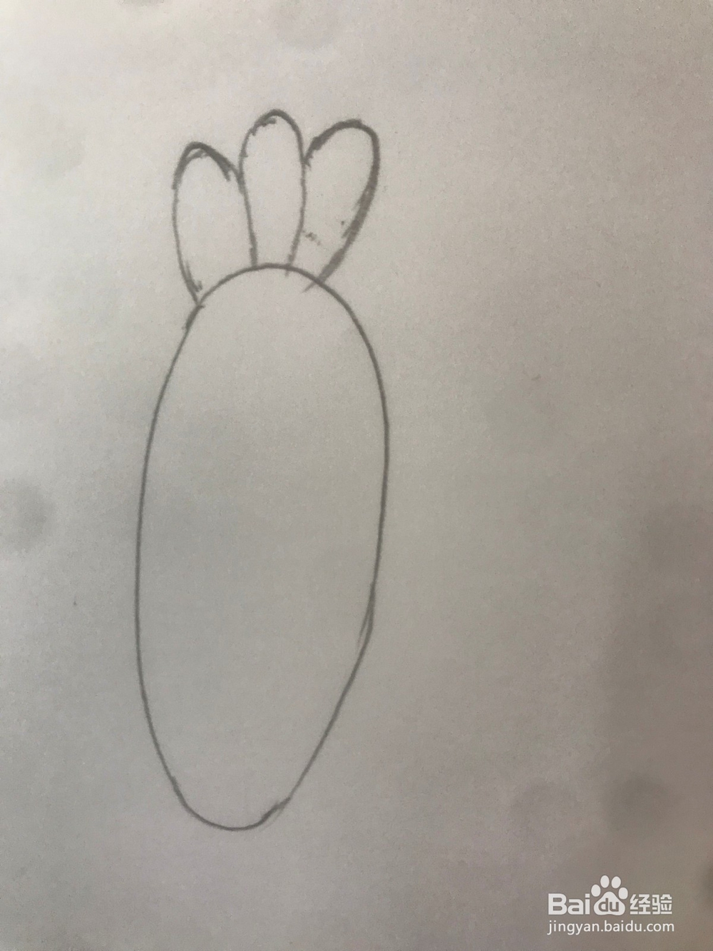 小猪佩琪里的鹦鹉波利如何画