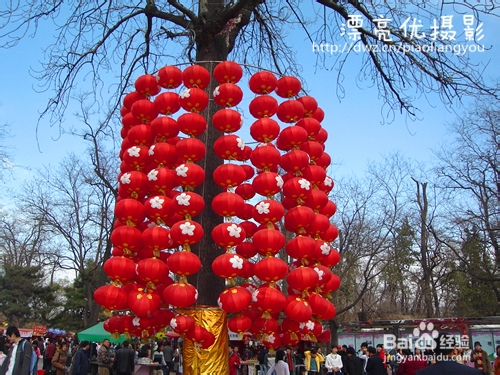 赏樱花——北京旅游攻略