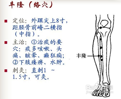 中医经络知识之足阳明胃经图解