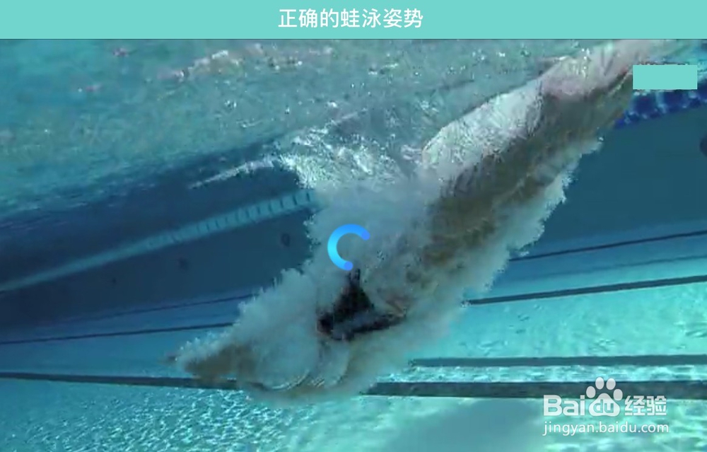 怎么学习游泳之蛙泳技巧