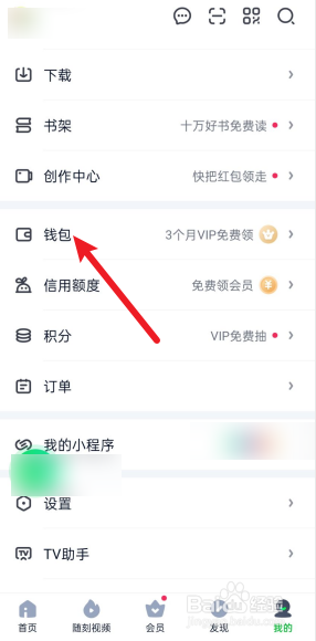 爱奇艺怎么开启钱包锁
