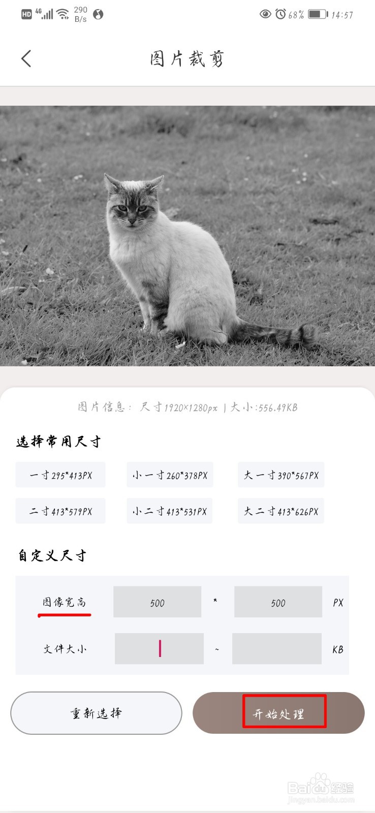 在手机上怎么裁剪图片?