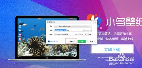 愤怒的小鸟动态壁纸怎样设置 百度经验 愤怒的小鸟动态壁纸怎样设置 百度经验