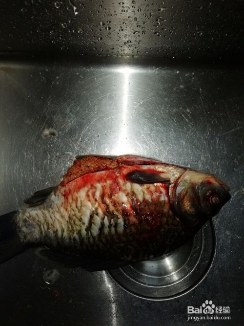 家常鱼的红烧做法