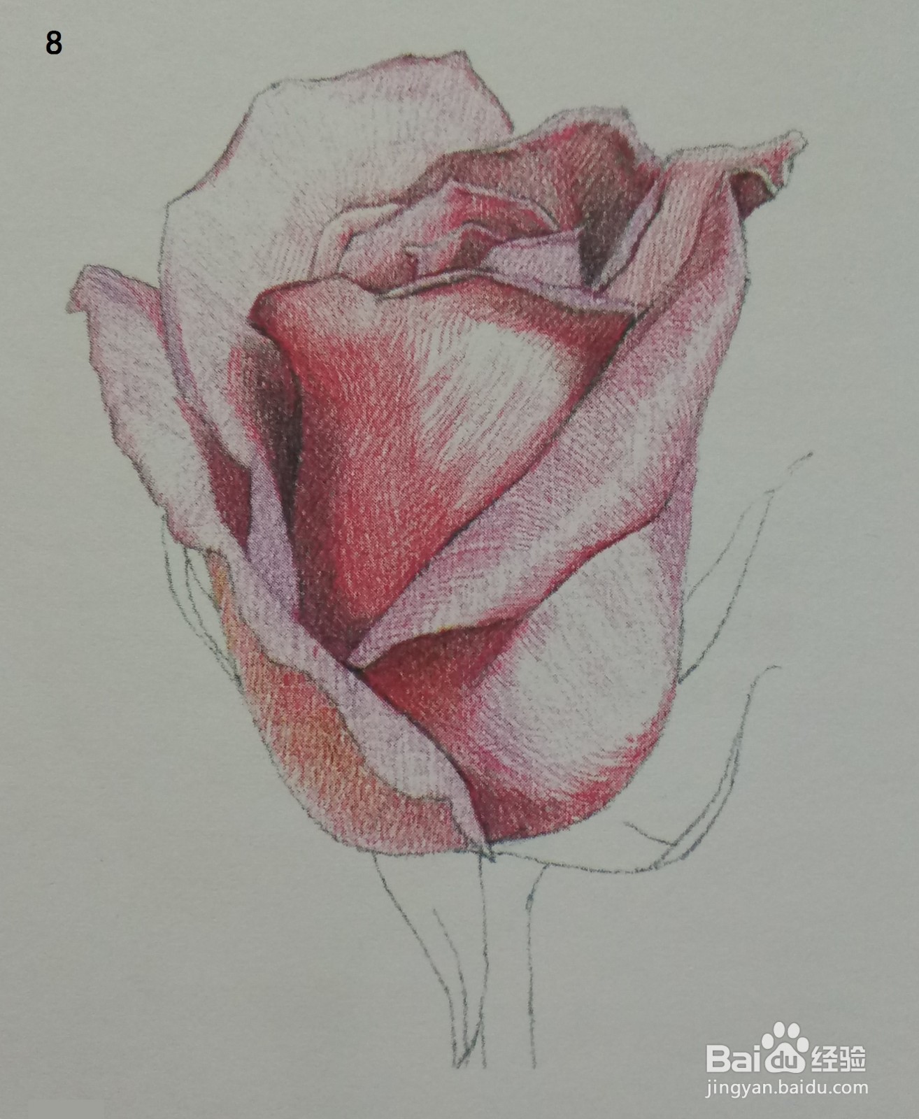 色铅笔画一朵红玫瑰(素描进阶)