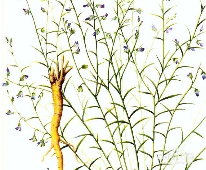 什么食物让您睡得更香