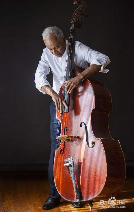 低音提琴怎么演奏