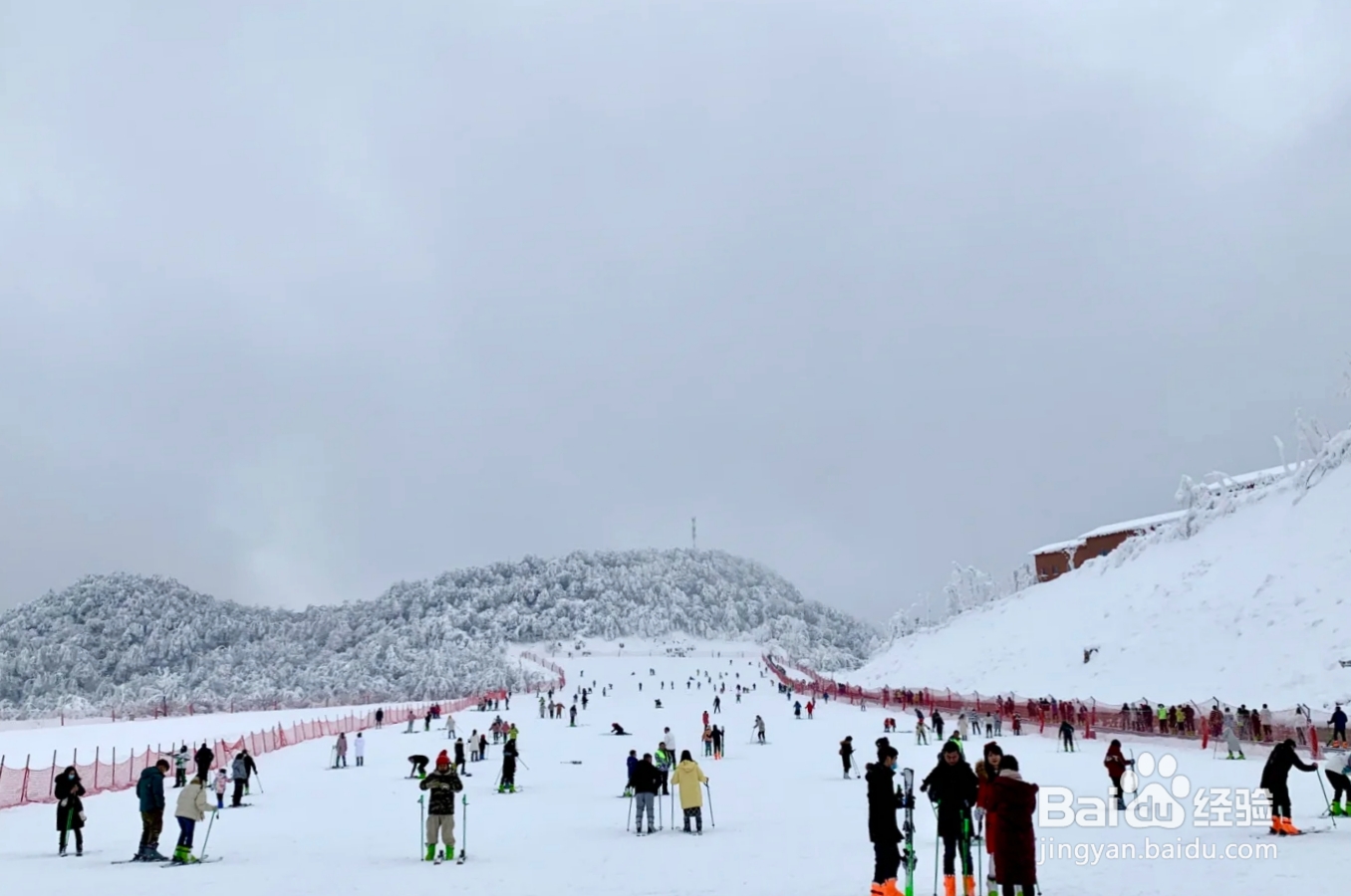 冰雪课堂Bet365 - Online Sports Betting如何成为“消费新宠” 南北双向流动激活新图景