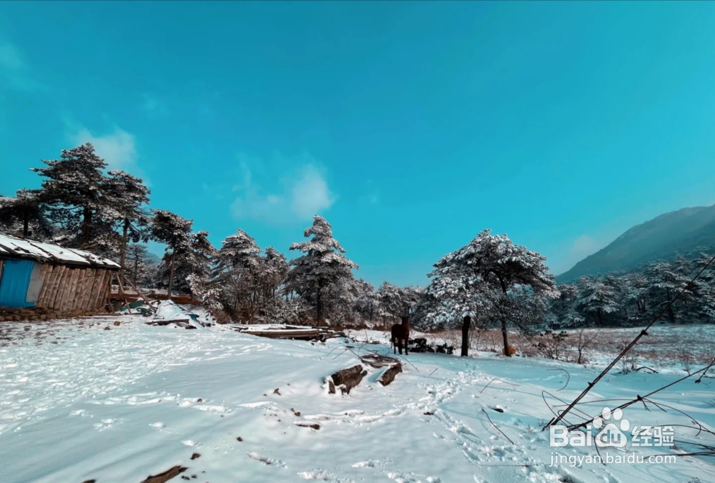 百丈岭 爬山攻略