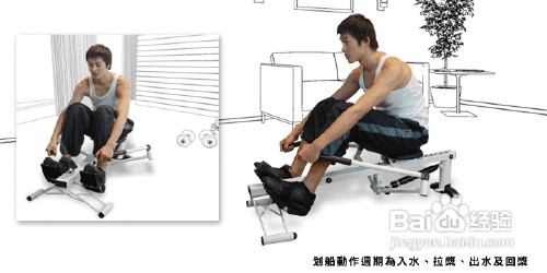 怎样使用划船器