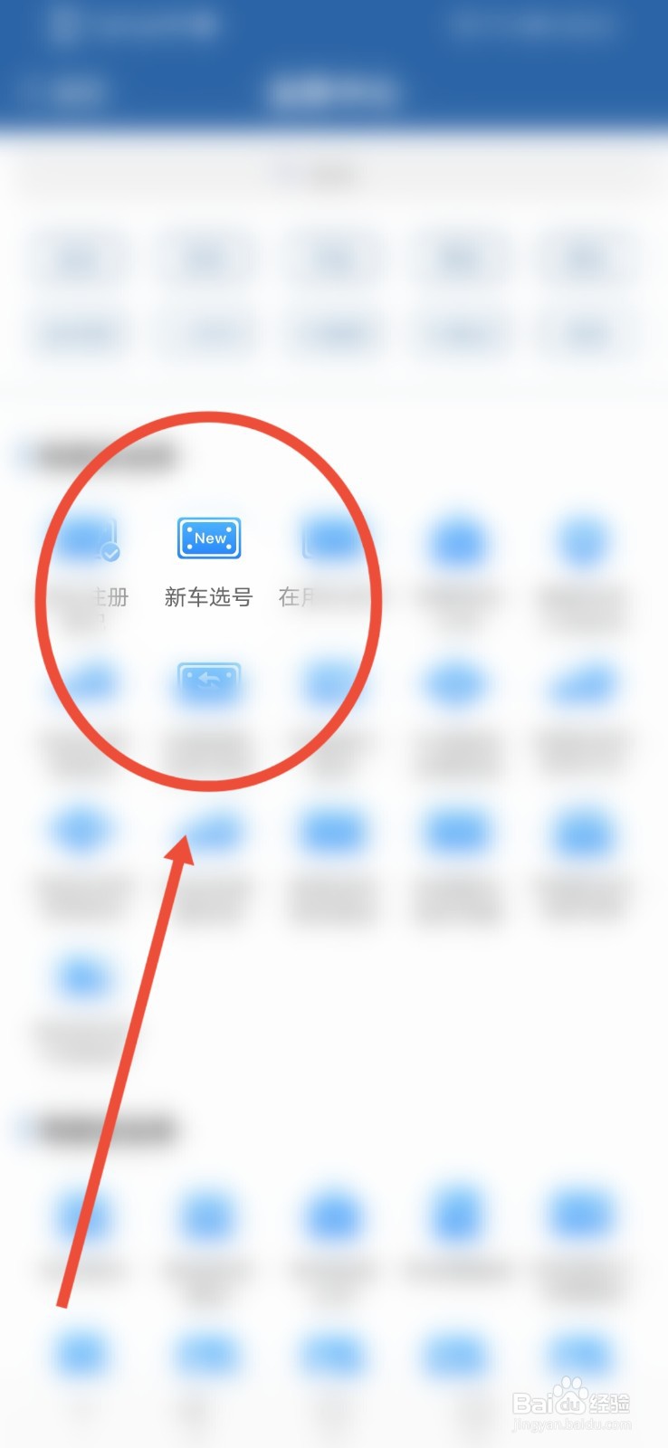 车辆号牌怎么选