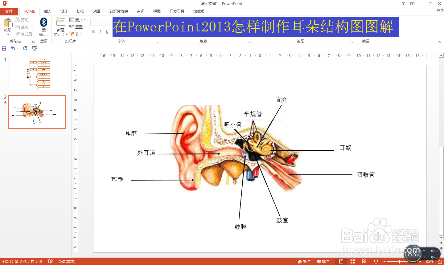 <b>在PowerPoint2013怎样制作耳朵结构图图解</b>