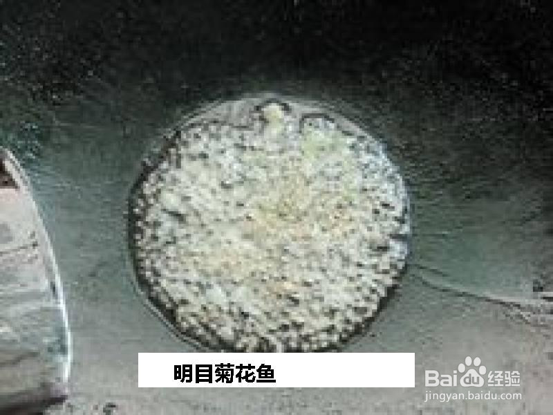 明目菊花鱼的做法