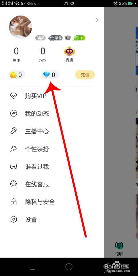 皮皮蛋怎么充值P币和蓝钻
