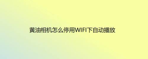 黄油相机怎么停用WIFI下自动播放