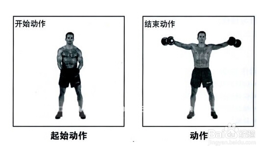 怎样练出完美肌肉：[4]练就厚实的肩膀