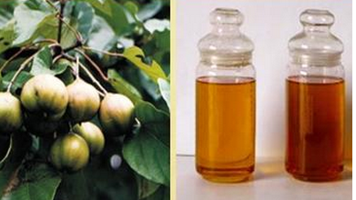 食品中有哪些常见的有毒污染物?