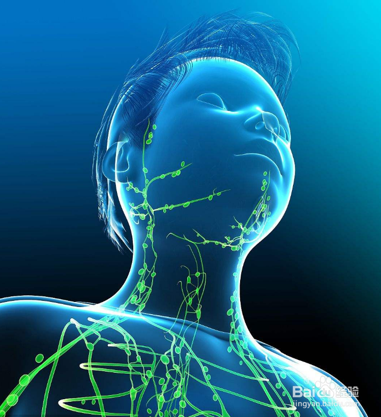 免疫系统是如何进化出来的