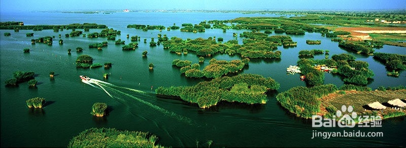 宁夏沙湖旅游景区怎么游玩？