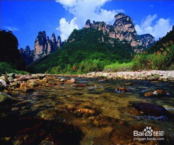 张家界自由风旅行网推荐