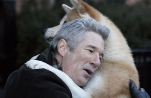 《忠犬八公》经典台词中英对照版是什么