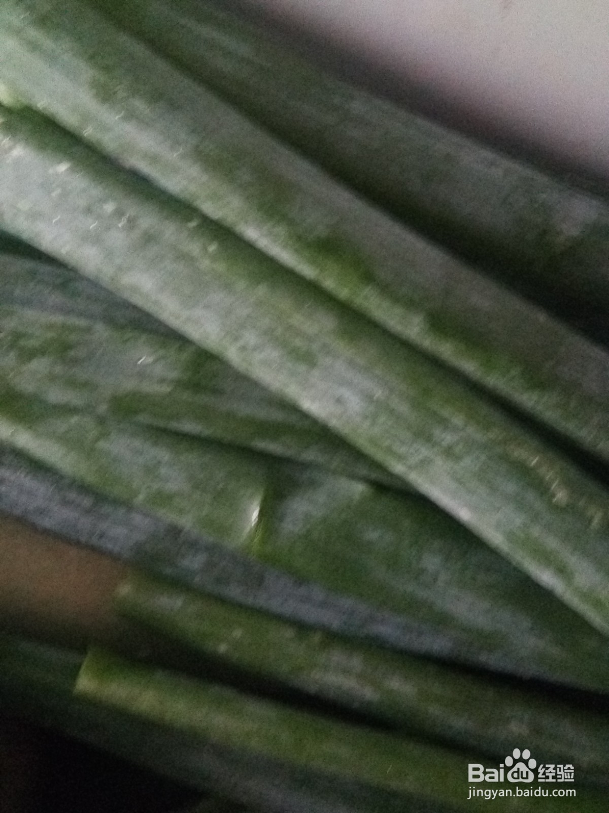 家常菜肴土豆炖豆角