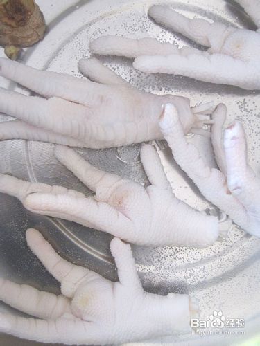 【飞禽走兽】虎皮凤爪