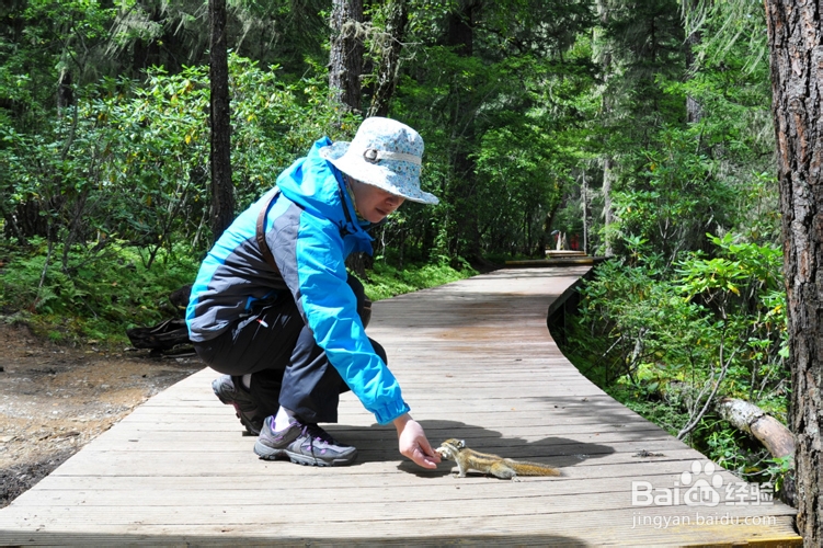 云南省香格里拉旅游攻略